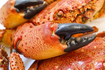 stoneCrab